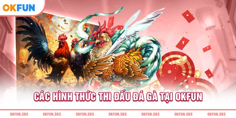 cac-hinh-thuc-thi-dau-da-ga-tai-okfun