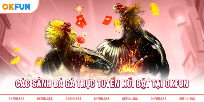 cac-sanh-da-ga-truc-tuyen-noi-bat-tai-okfun
