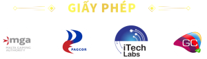 giay-phep-okfun