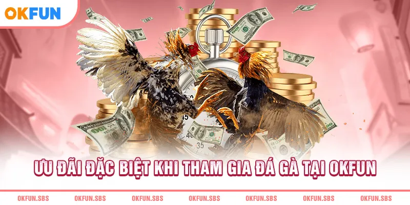 uu-dai-dac-biet-khi-tham-gia-da-ga-tai-okfun
